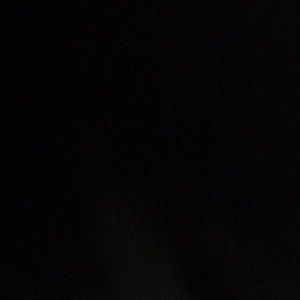 Meet your Posher, Nina